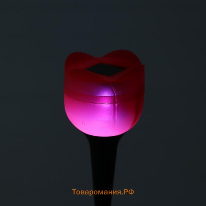 Садовый светильник на солнечной батарее «Тюльпан», 6×47×6 см, 1 LED, свечение белое