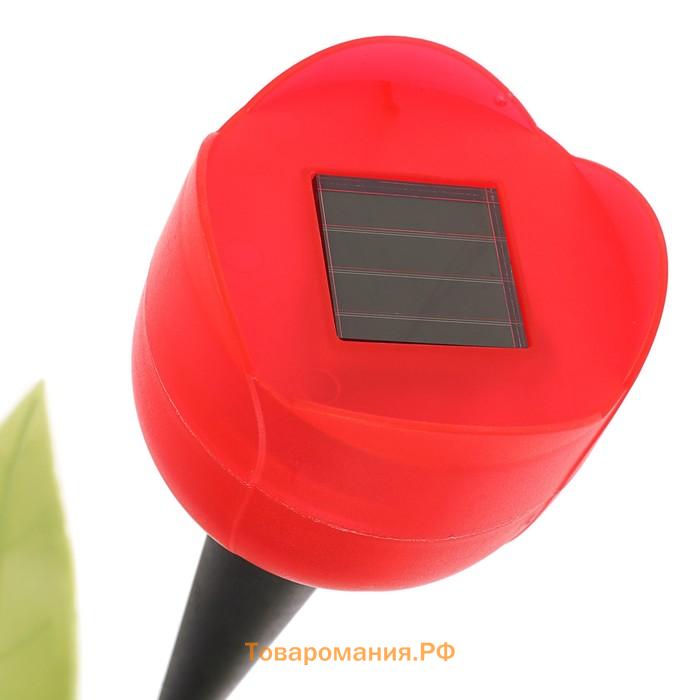 Садовый светильник на солнечной батарее «Тюльпан», 6×47×6 см, 1 LED, свечение белое