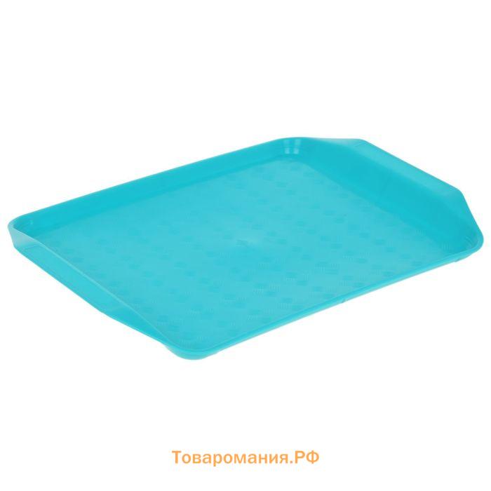 Поднос Петропласт «Дональд», 30×21 см, пластик, МИКС