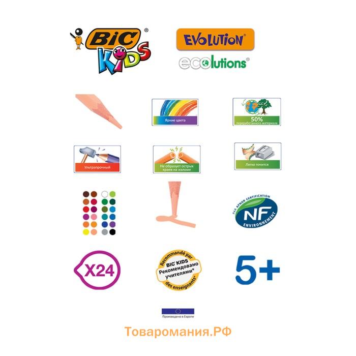 Карандаши 12 цветов BIC Kids Evolution ECOlutions, детские, ударопрочные, пластиковые