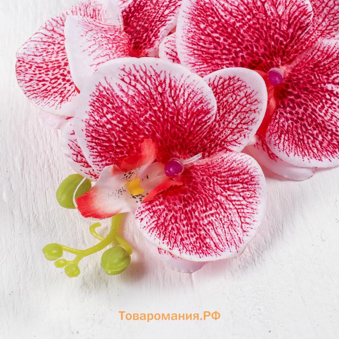 Цветы искусственные «Орхидея Тигровая», h=90 см, красно-белые