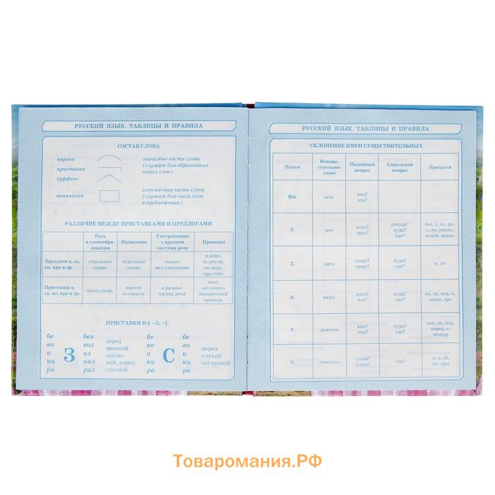 Дневник для 1-4 классов, "Принцесса", твердая обложка 7БЦ, глянцевая ламинация, 48 листов