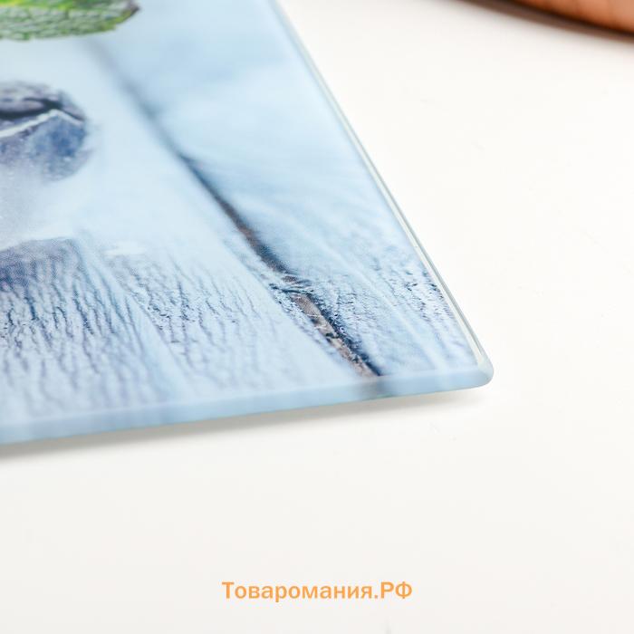 Доска разделочная  «Ледяная свежесть», 30×20 см