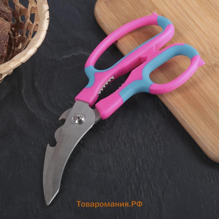 Ножницы кухонные для мяса и рыбы  «Краски», 20 см, МИКС
