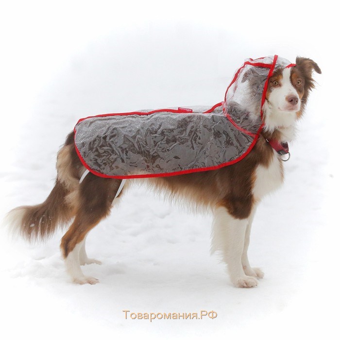 Дождевик с капюшоном для собак OSSO, р. 55 (ДС 55 см), прозрачный, окантовка микс цветов