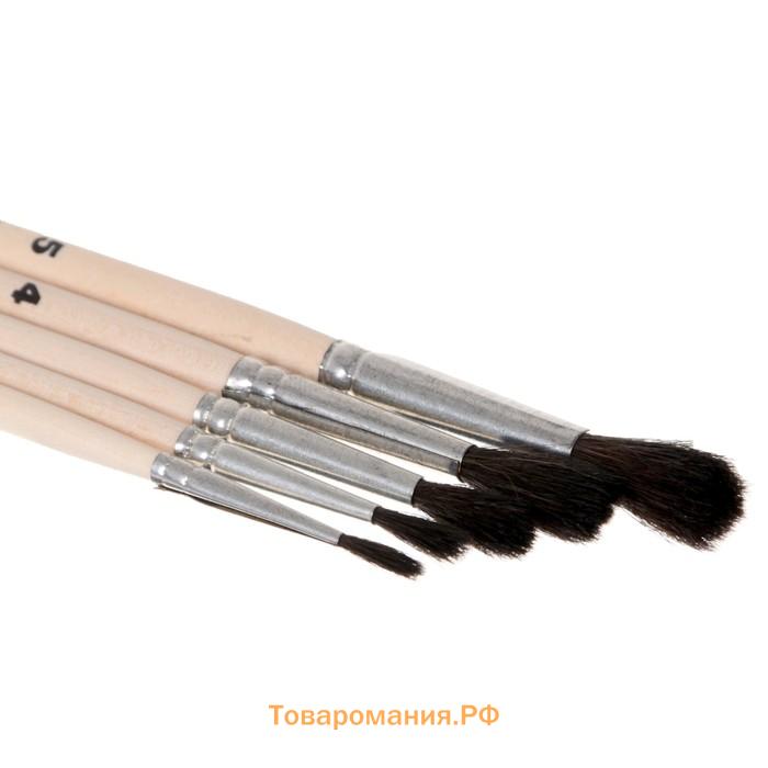 Набор кистей Белка 5 штук, Calligrata №4 (круглые №: 1, 2, 3, 4, 5), деревянная ручка, в пенале