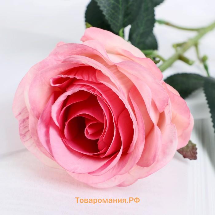 Цветок искусственный «Роза Летисия», 7×64 см, розовый МИКС