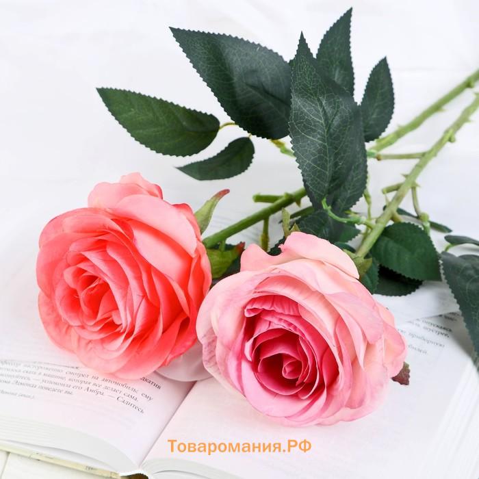 Цветок искусственный «Роза Летисия», 7×64 см, розовый МИКС