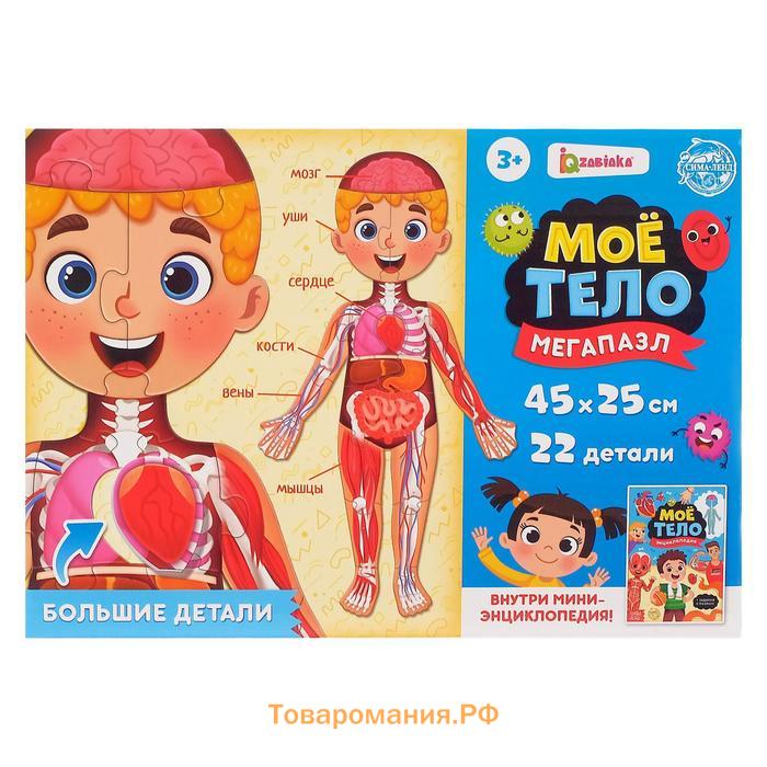 Набор «Моё тело», мегапазл с обучающей книгой