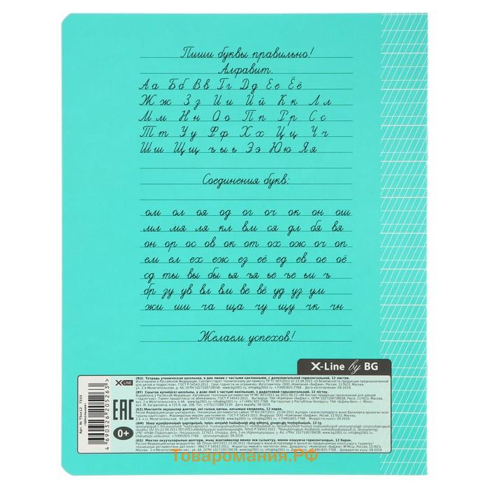 Тетрадь 12 листов в частую косую линейку, с дополнительной горизонтальной линией, МИКС
