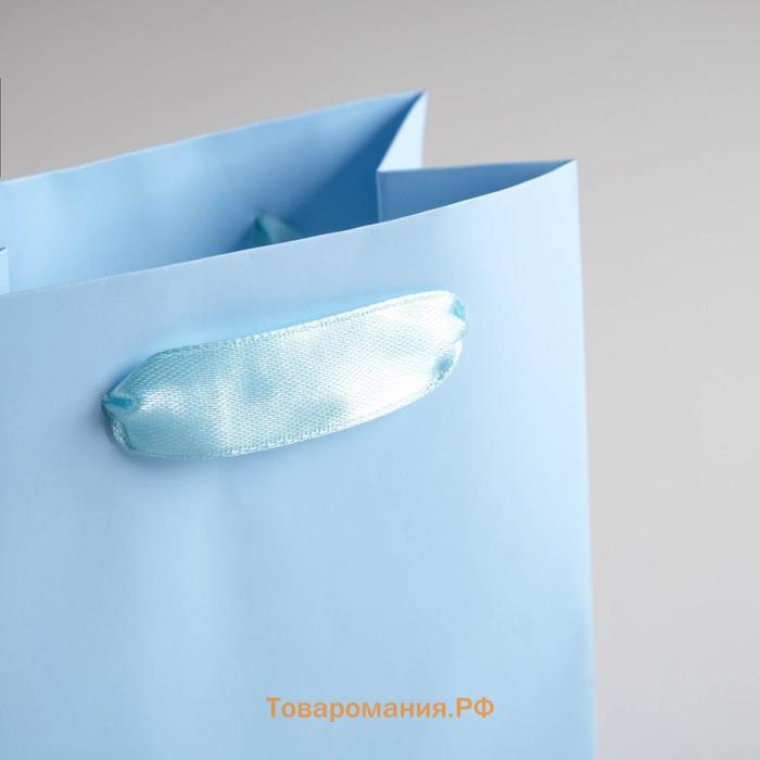 Пакет подарочный, упаковка, «Голубой», 12 х 15 х 5.5 см