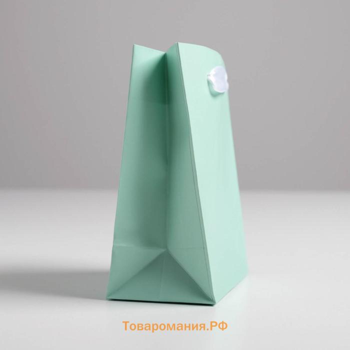 Пакет подарочный, упаковка, «Мятный», 12 х 15 х 5.5