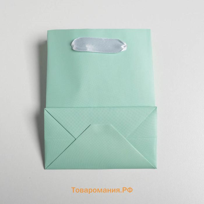 Пакет подарочный, упаковка, «Мятный», 12 х 15 х 5.5