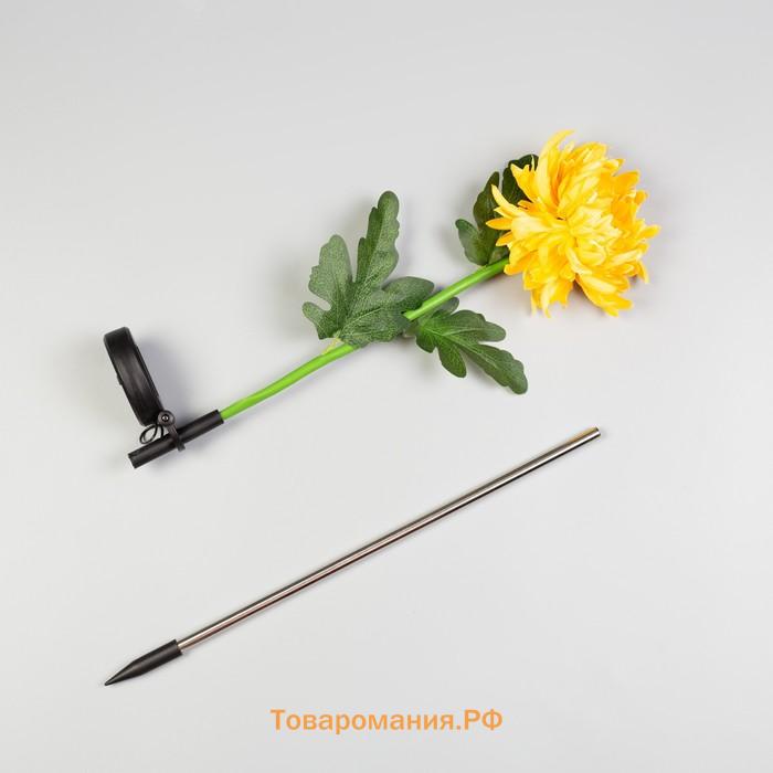 Садовый светильник на солнечной батарее «Хризантема жёлтая», 80 см, 1 LED, свечение белое