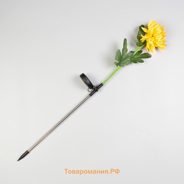 Садовый светильник на солнечной батарее «Хризантема жёлтая», 80 см, 1 LED, свечение белое