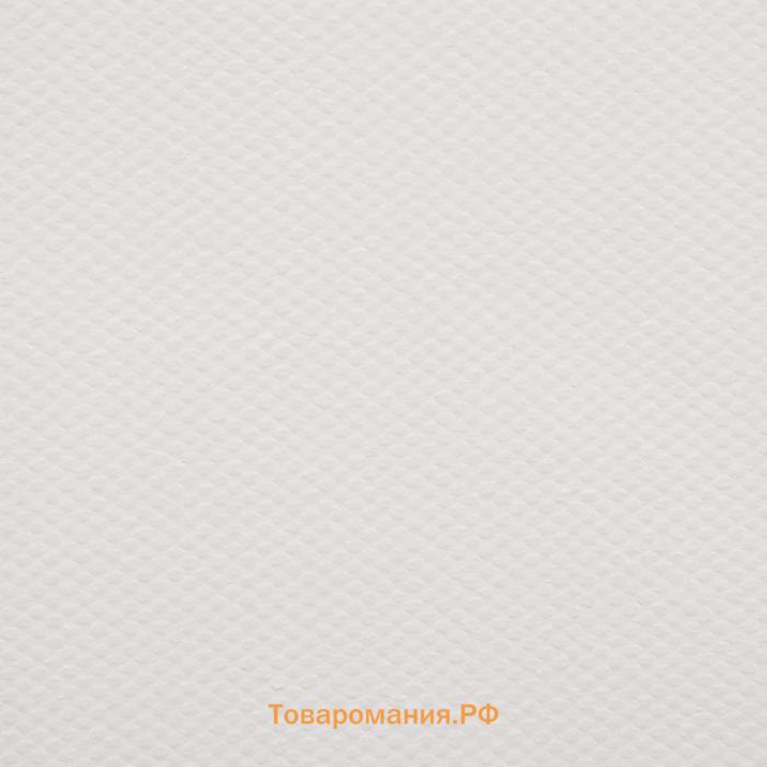 Холст на подрамнике, хлопок 100%, акриловый грунт, 2 х 40 х 50 см, 400 г/м2, крупное зерно, Гамма "Студия"