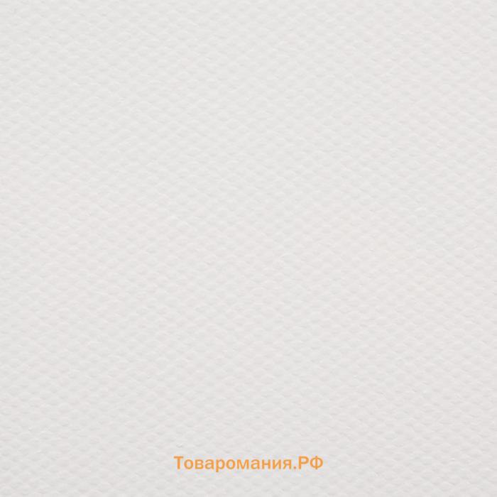 Холст на подрамнике, хлопок 100%, акриловый грунт, 2 х 80 х 100 см, 400 г/м2, , крупное зерно, Гамма "Студия"