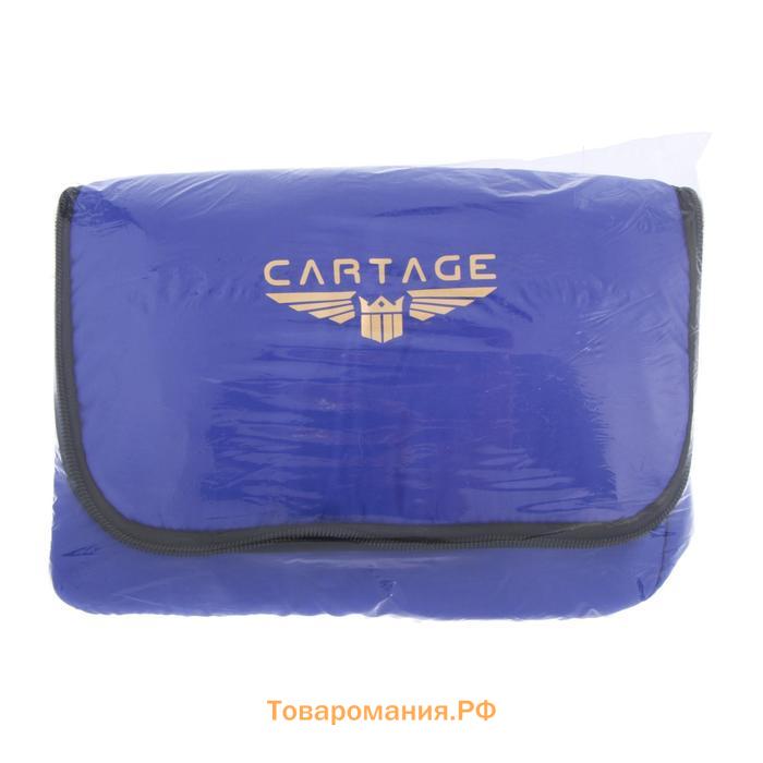 Термосумка Cartage Т-12, синяя, 18 л, 35х21х24 см