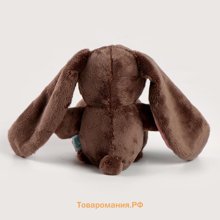 Мягкая игрушка «Зайчик Lu», с пледом, 25 см