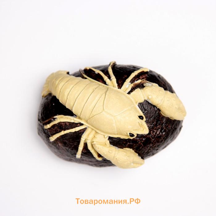 Фигурка полистоун «Рак на камне», 10×6×5 см