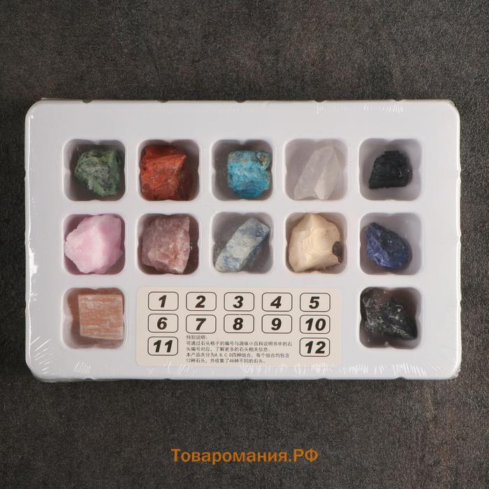 Коллекция сувенирных минералов «Подарок», набор 12 шт.