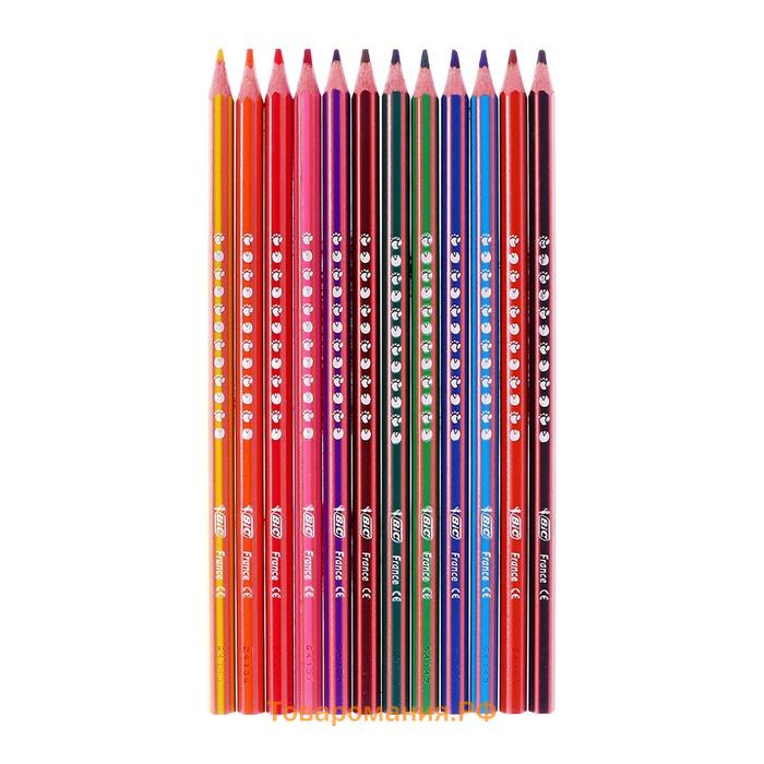 Карандаши цветные 12 цветов , BIC "Kids Evolution Stripes", пластиковые, детские