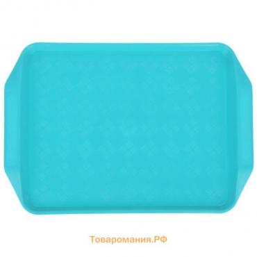 Поднос Петропласт «Дональд», 30×21 см, пластик, МИКС