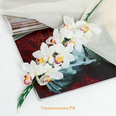Цветы искусственные «Камбрия», 9×71 см, белые