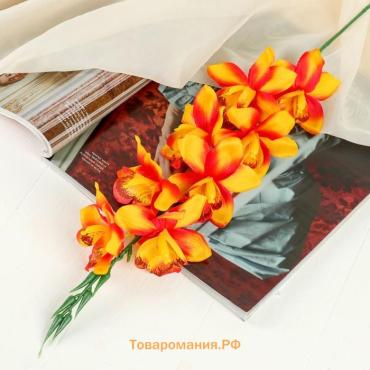 Цветы искусственные «Камбрия», 9×71 см, оранжевые