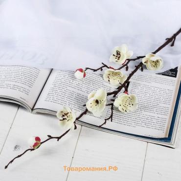 Цветы искусственные «Веточка сакуры», 2.5×42 см, белые