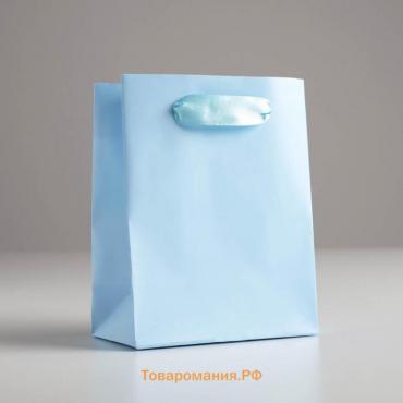 Пакет подарочный, упаковка, «Голубой», 12 х 15 х 5.5 см