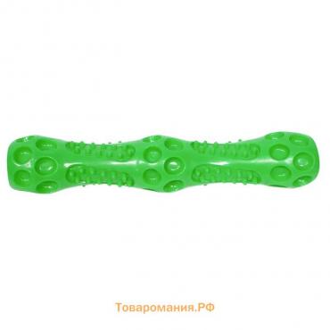Игрушка для собак "Палка массажная" "Зооник", пластизоль, 27 см, зелёная