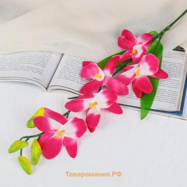 Цветы искусственные «Орхидея Гуарианте», h=70 см, розовые