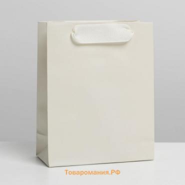 Пакет подарочный ламинированный, упаковка, «Молочный», S 12 х 15 х 5.5 см